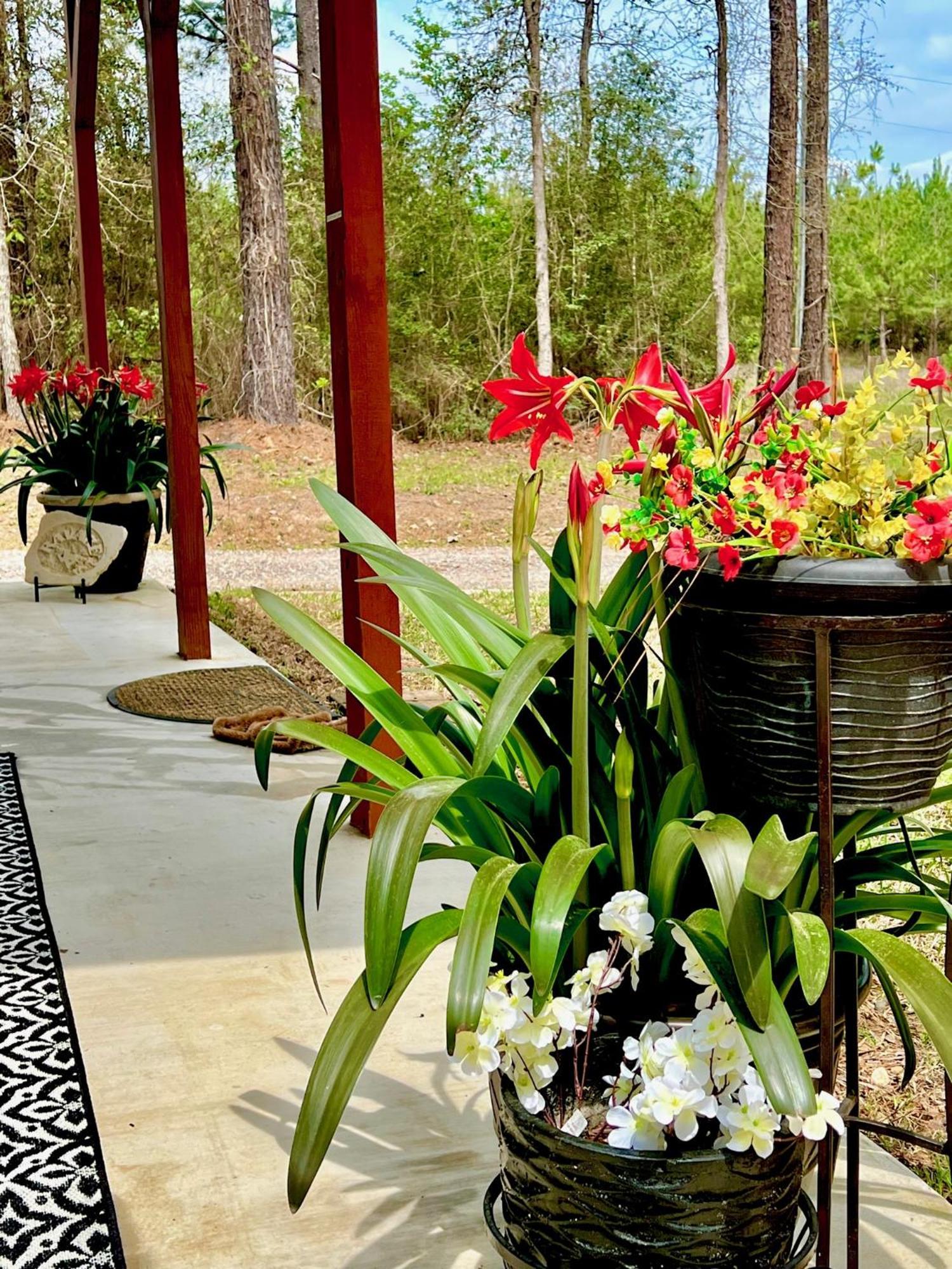 A Tranquil Retreat Loaded With Ambiance! Sleeps 10 Villa Platt Kültér fotó